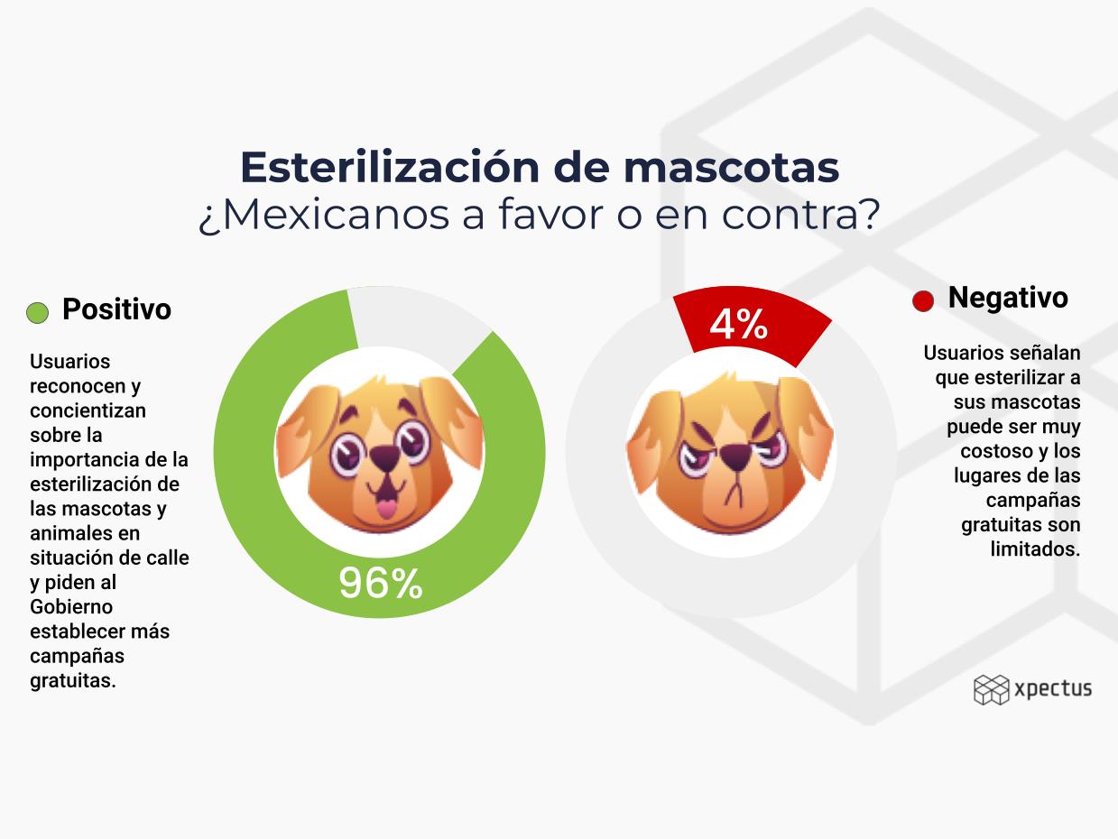 Esterilización de mascotas ¿Mexicanos a favor o en contra?